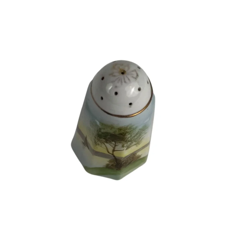 Vintage Japan Salt Shaker Hand Painted Landscape Gold Trim Octagon‎ Decor D14Q